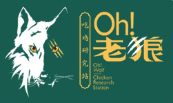 老狼大盤雞