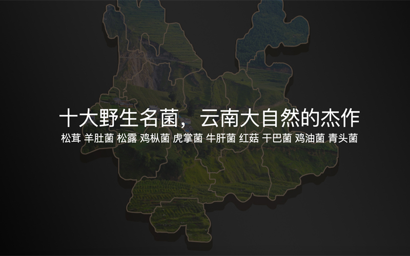 菌小農(nóng)羊肚菌