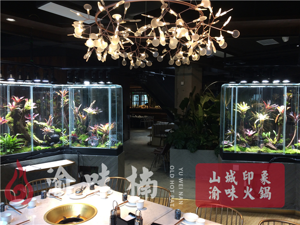 重慶火鍋加盟品牌哪個好？帶你走上致富之路