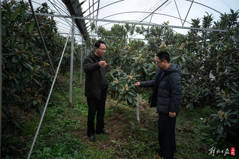 世界冠軍身價近億，為何重新創業選擇開奶茶店？