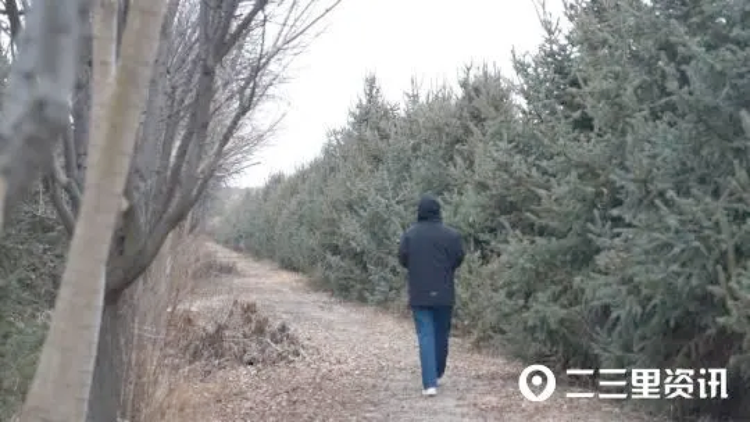 「創業100」60后的她返鄉創業，如今帶領家鄉父老致富增收