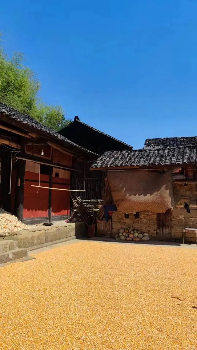 故鄉(xiāng)煙火經(jīng)濟｜返鄉(xiāng)創(chuàng)業(yè)，鄉(xiāng)村不止詩和遠方