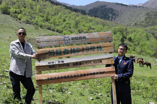 “稅力量”護航青年創業路