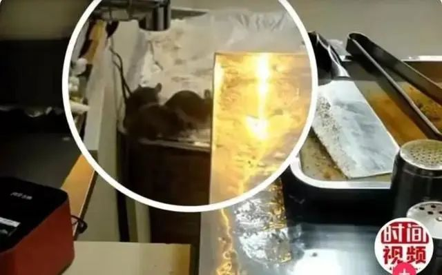 黃渤代言，關店超1萬家！昔日“街霸”連鎖品牌母公司鄭重聲明：資金鏈沒有斷裂，已向公安報案！加盟商現狀：有的日流水僅過百元