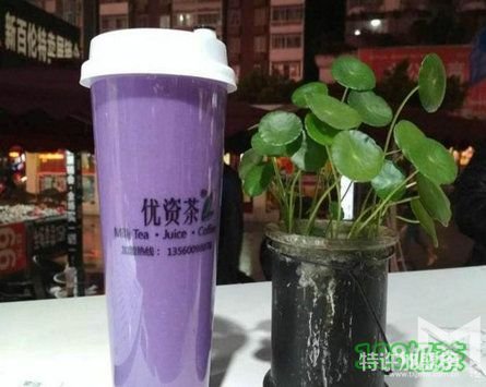 優資茶加盟為什么會這么火？優資茶加盟加盟有