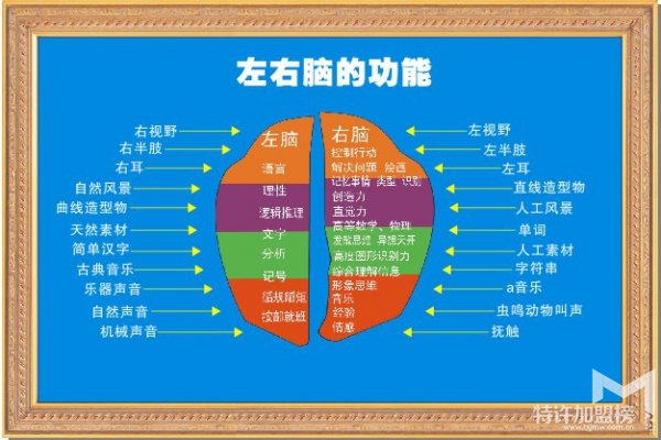 全腦開(kāi)發(fā)課程加盟中心有哪些？2018傾情推薦