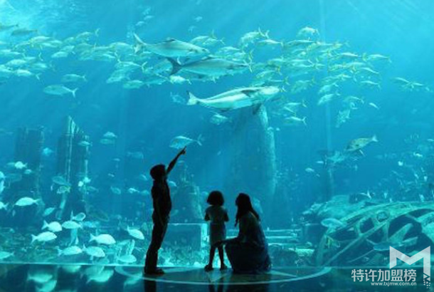 水族店利潤(rùn)有多大 水族店加盟需要多少錢
