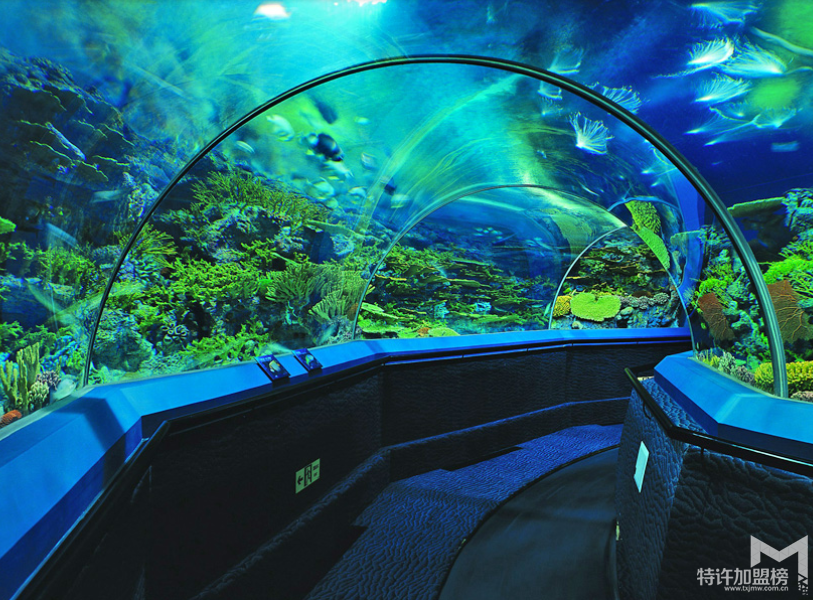 水族店利潤(rùn)有多大 水族店加盟需要多少錢