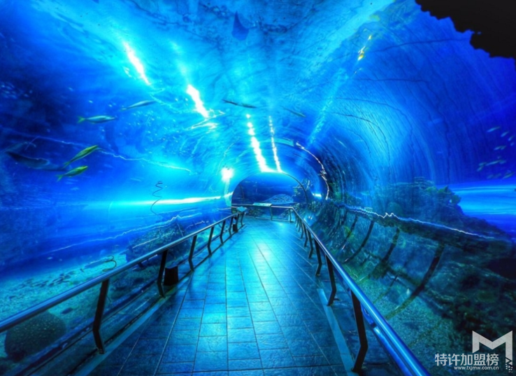 新手開水族店怎么進(jìn)貨