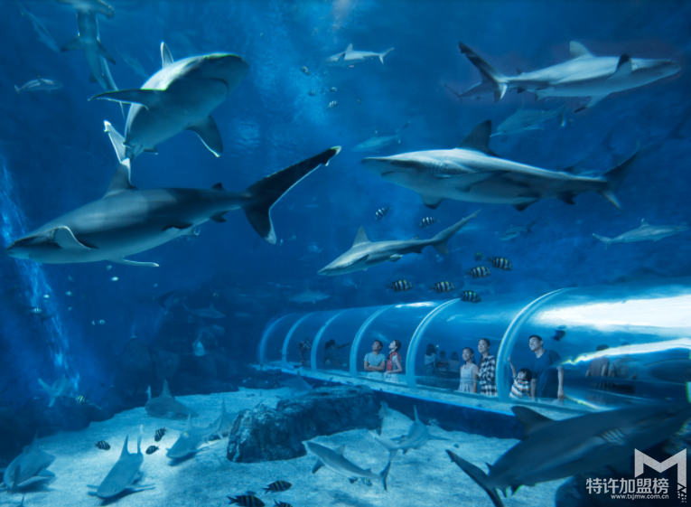 新手開水族店怎么進(jìn)貨