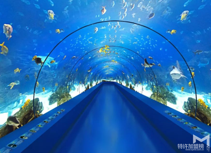 開個(gè)水族店要多少錢