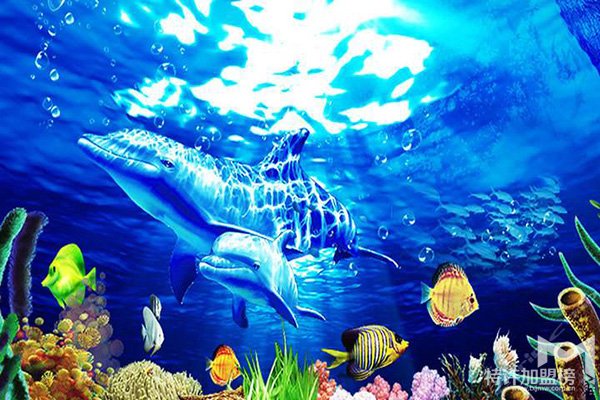 開個(gè)水族店要多少錢