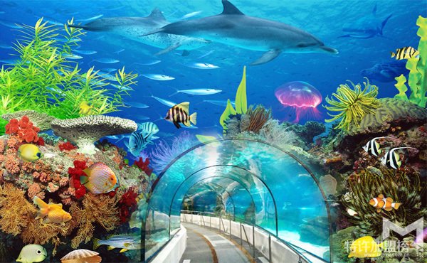 開個(gè)水族店要多少錢