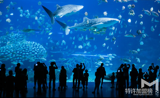 2017水族店利潤有多大
