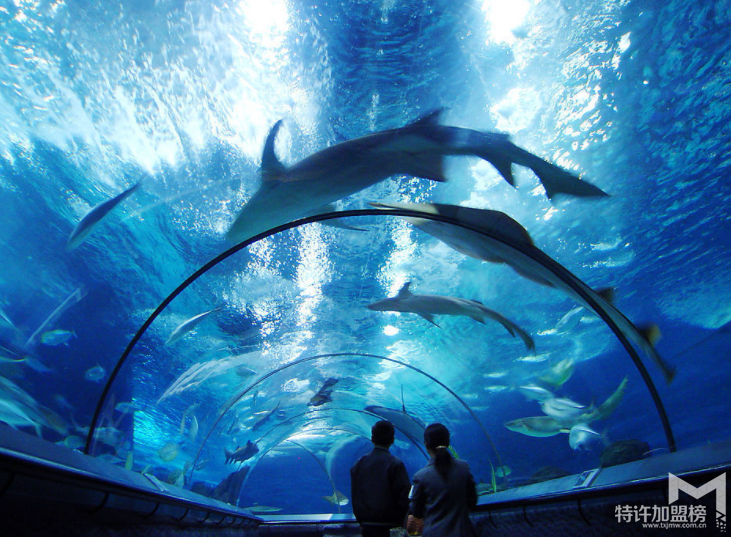 2017水族店利潤有多大