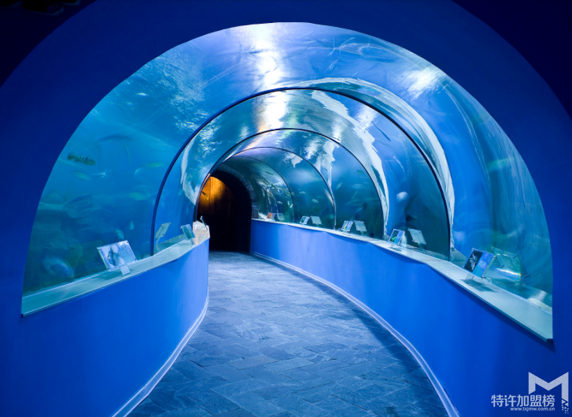 2017水族店利潤有多大