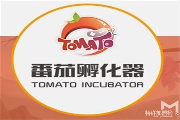 番茄孵化器游戲加盟費(fèi)多少