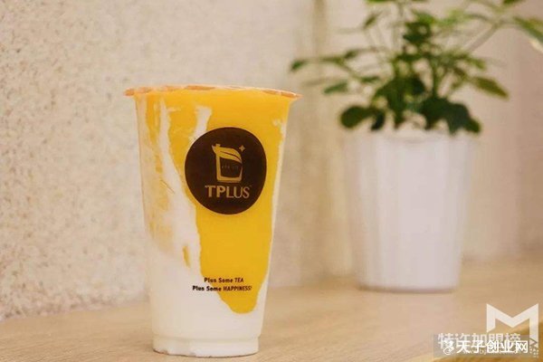 tplus茶家加盟怎么樣呢?tplus茶家茶家加盟分析大全