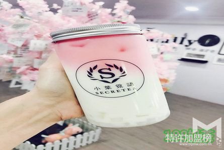 小葉覓語加盟好不好？小葉覓語加盟有什么要求