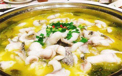 加盟龍滋鮮魚撈魚火鍋怎么樣?合作費用有哪些?