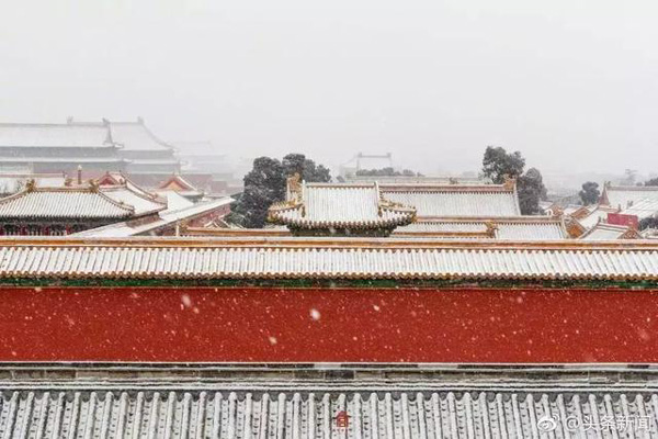 菲爾德國際少兒英語獨具一格,雪地教學 記憶深刻