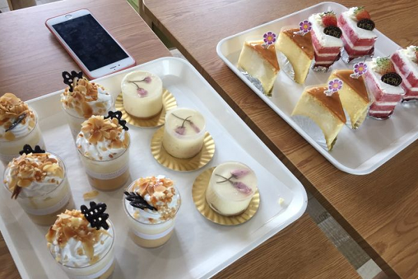 浮力森林加盟資料詳情介紹