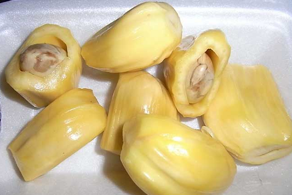 水果零售店加加盟_菠蘿蜜價格多少錢一斤