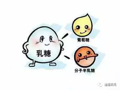 【母嬰課堂】迪適蘭托答疑:寶寶吃腹瀉奶粉期間 到底需要不需要吃乳糖酶