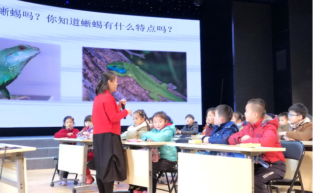 愛學先知大語文怎么樣？