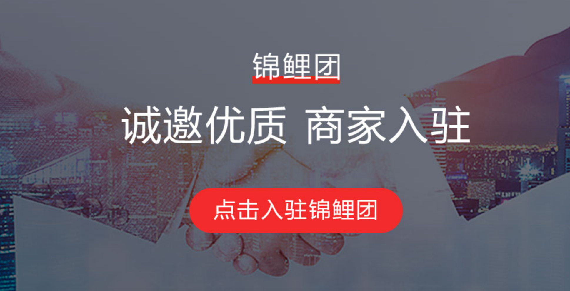 錦鯉團